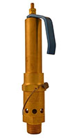 M5100 Series ASME Safety Relief Valve